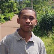 Prof de mathématiques pour primaires et collèges en ligne